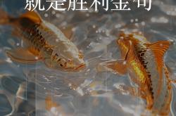 包含慢慢起舞的球队胜利在望，胜负难定的词条