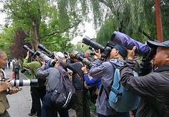 包含东道主代表团长枪短炮，战无不胜的词条