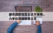 包含捷克国脚加盟云达不莱梅，力争在德国联赛立足的词条