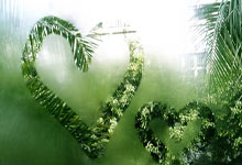 金融风控中的人工智能应用