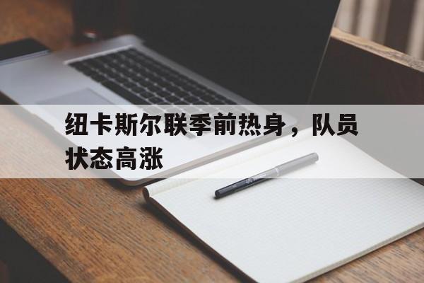 关于纽卡斯尔联季前热身，队员状态高涨的信息