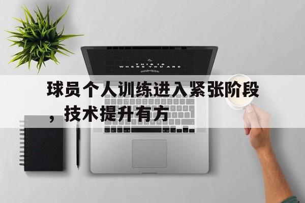 球员个人训练进入紧张阶段，技术提升有方的简单介绍